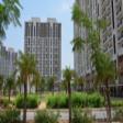 3 Bhk Residential Apartment For Rent In DLF New Town Height Sector - 90 3 BHK Apartment Rent Sector 90 Gurgaon